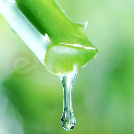 American Drop Aloe Vera: 1.5L 1.5L at Apna Bazar Woburn, Woburn MA