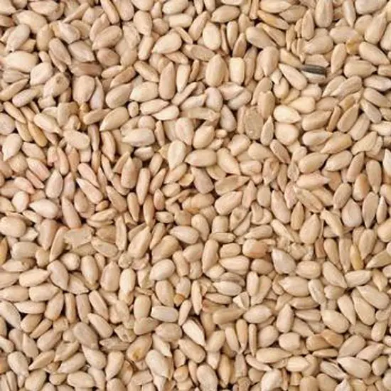 Radhey Sunflower Seeds RAW:7OZ 7OZ at Apna Bazar Woburn, Woburn MA