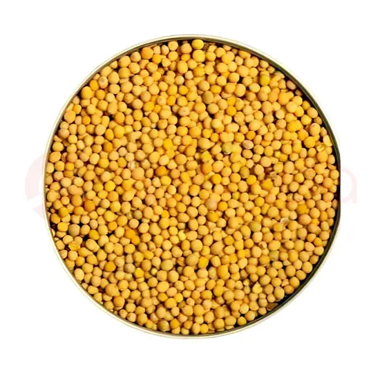 Paras Mustard Seed YELLOW:7OZ 7OZ at Apna Bazar Woburn, Woburn MA