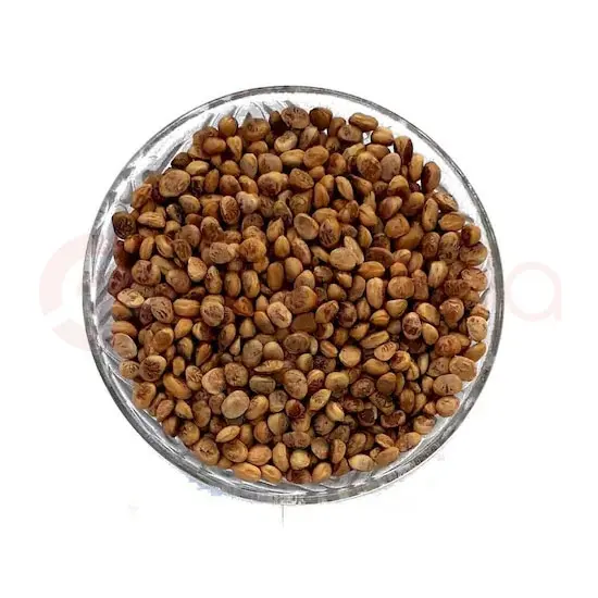 Paras Charoli : 100 G 100 G at Apna Bazar Woburn, Woburn MA