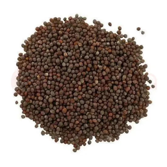 Vadilal Mustard SEED;400gm at Apna Bazar Woburn, Woburn MA