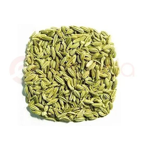Vadilal FENNELSEEDS;400GM at Apna Bazar Woburn, Woburn MA