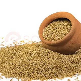 24 Mantra Kodo Millet: 2.2LB Grain, 2.2LB