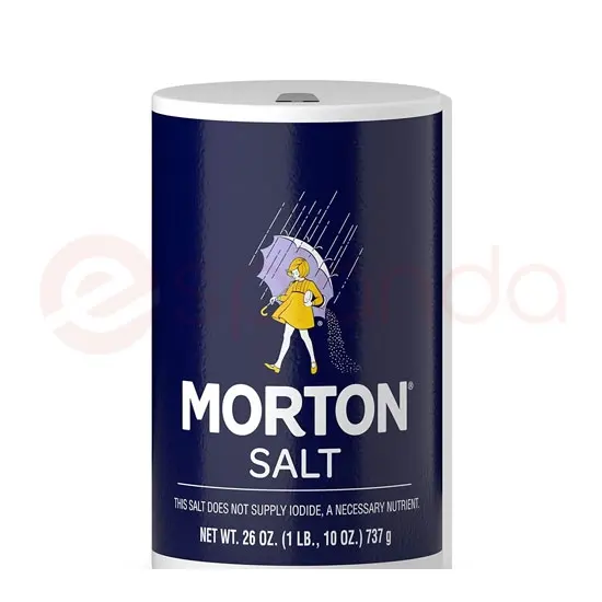 Morton Salt Plain : 737 Gm 737 GM at Apna Bazar Woburn, Woburn MA