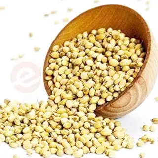 APNA CORIANDER WHOLE: 3 LB
