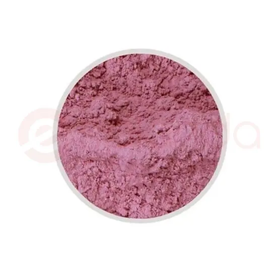 Apna Toasted Onion POWDER:14OZ 14OZ at Apna Bazar Woburn, Woburn MA