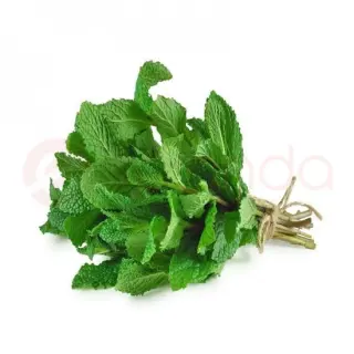 Paras Pudina Leaves : 100 G Spices, 100 G