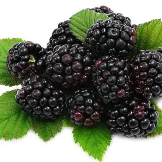 BLACKBERRIES