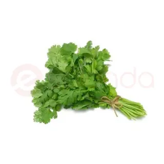 Raghav Coriander LEAVES:100G Spices, 100G