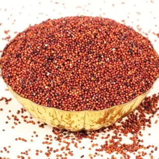 Nfs Ragi Millet FLOUR:500GM, 500GM