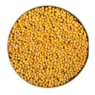 Paras Yellow Mustard: 10OZ Spices, 10 OZ