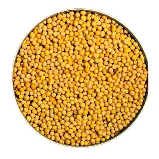 Paras Yellow Mustard: 10OZ 10OZ at Apna Bazar Woburn, Woburn MA