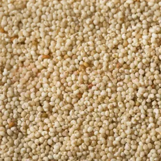 APNA PREMIUM POPPY SEEDS: 4LB